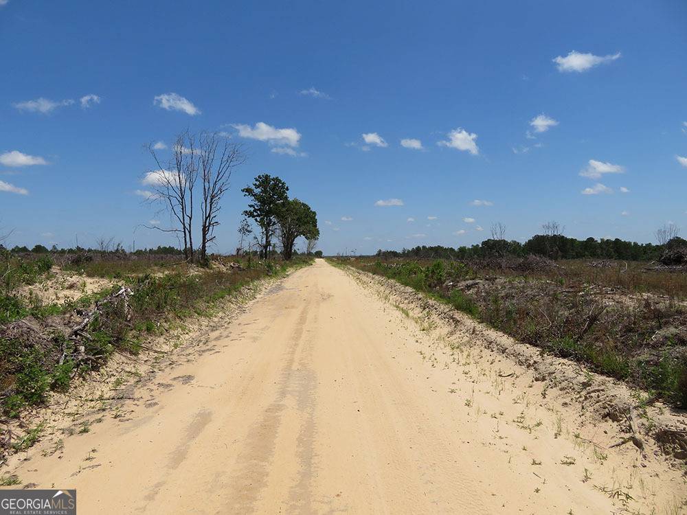 Buena Vista, GA 31803,0 Pineville Road