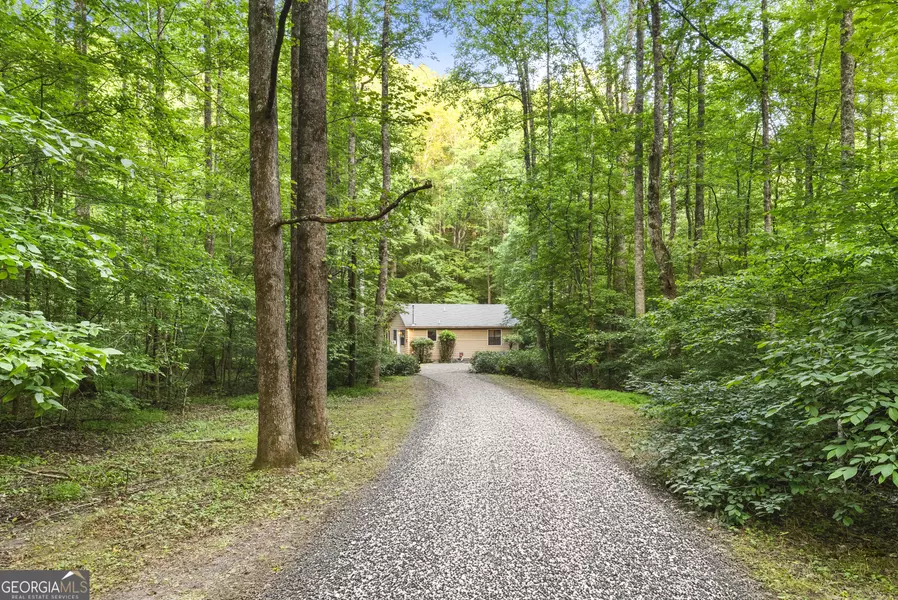 62 Nocona TRL, Ellijay, GA 30536