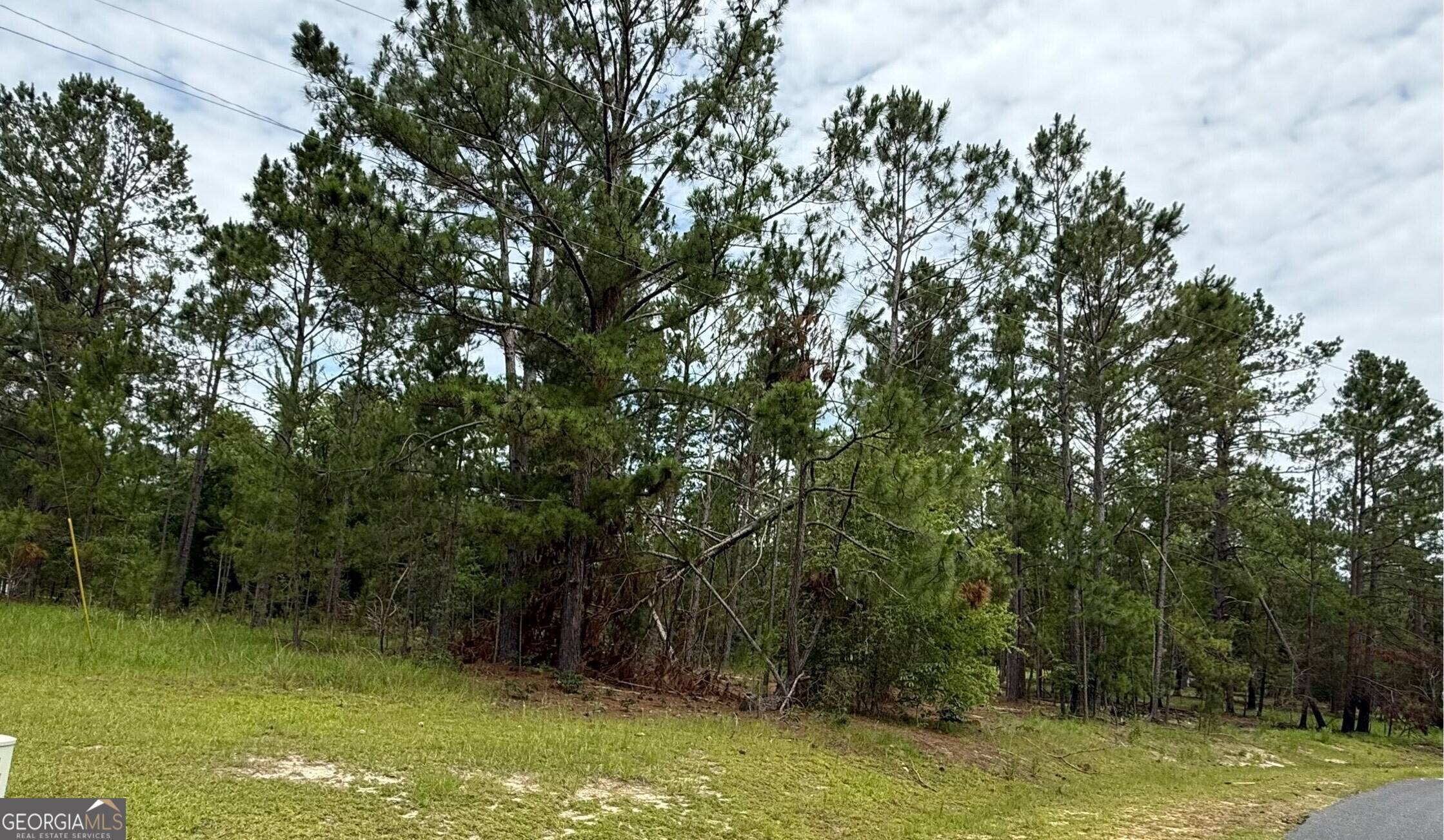 Vidalia, GA 30474,LOT 6 Centerbrook RD