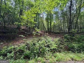 Dahlonega, GA 30533,0 Ts Jarrard RD #UNIT TRACT 3