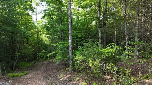 Ellijay, GA 30536,TR C East New Hope RD