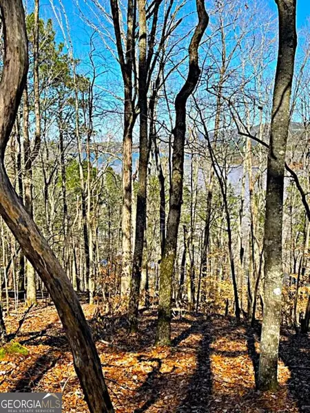 0 Carters Overlook DR, Chatsworth, GA 30705