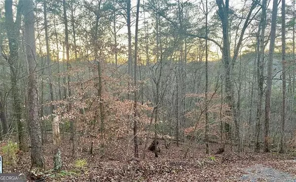 Talking Rock, GA 30175,1684 Shade Tree Drive