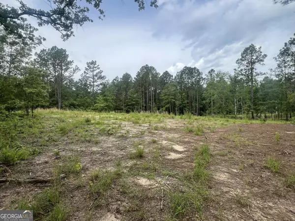 Portal, GA 30450,3965 Willow Hill RD