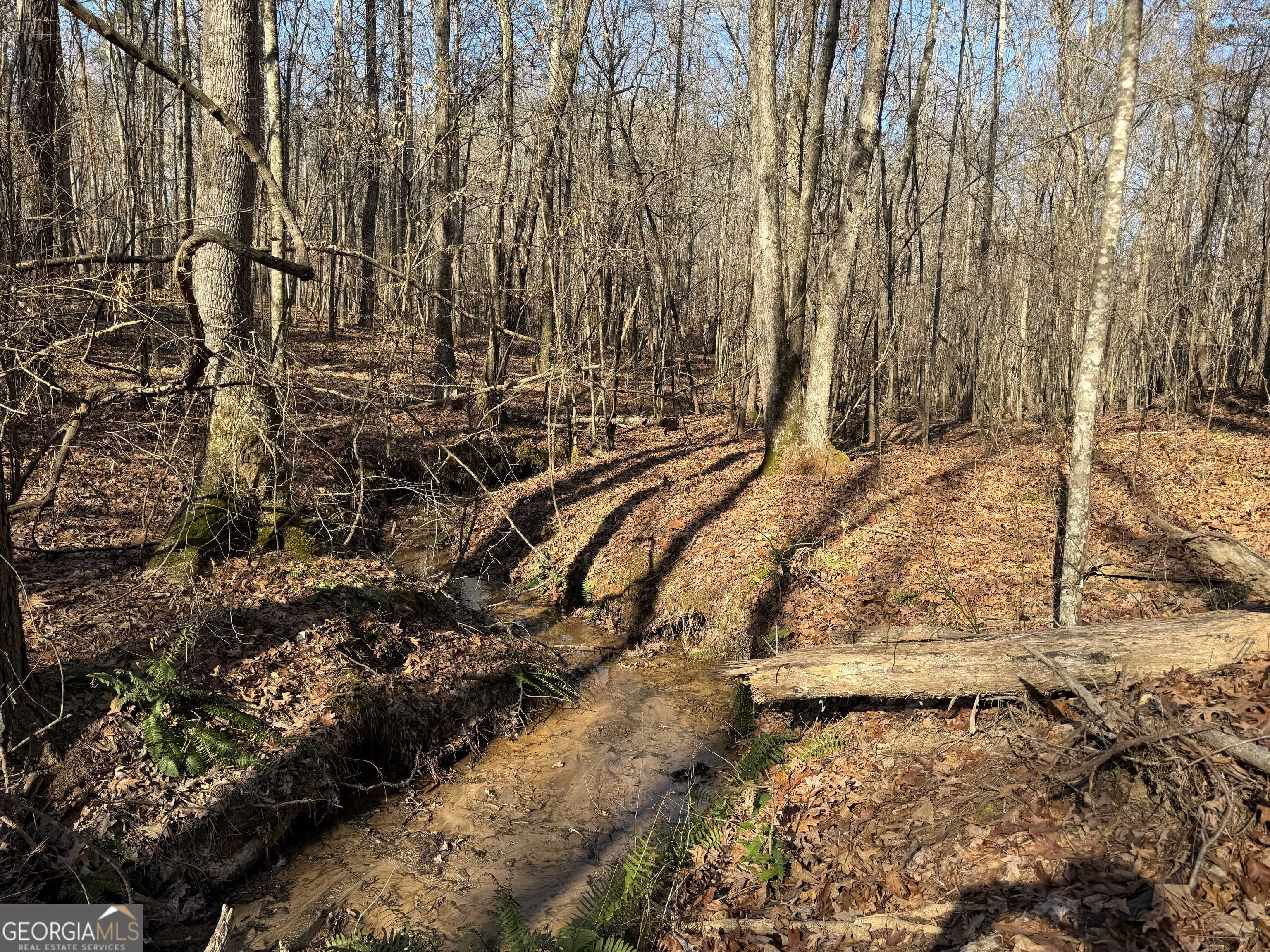 Newnan, GA 30263,LOT 16 Indigo Trail