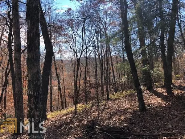 Cleveland, GA 30528,0 Forked Leaf RD #35