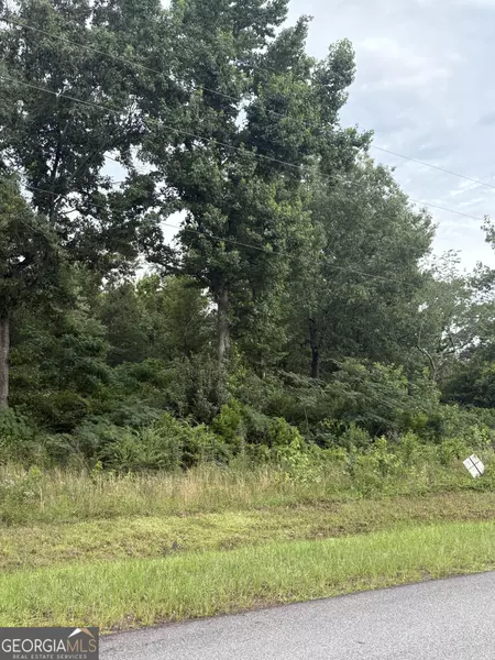 0 Stoney Ridge, East Dublin, GA 31027