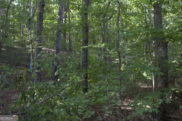 Hartwell, GA 30643,243 North Point CIR