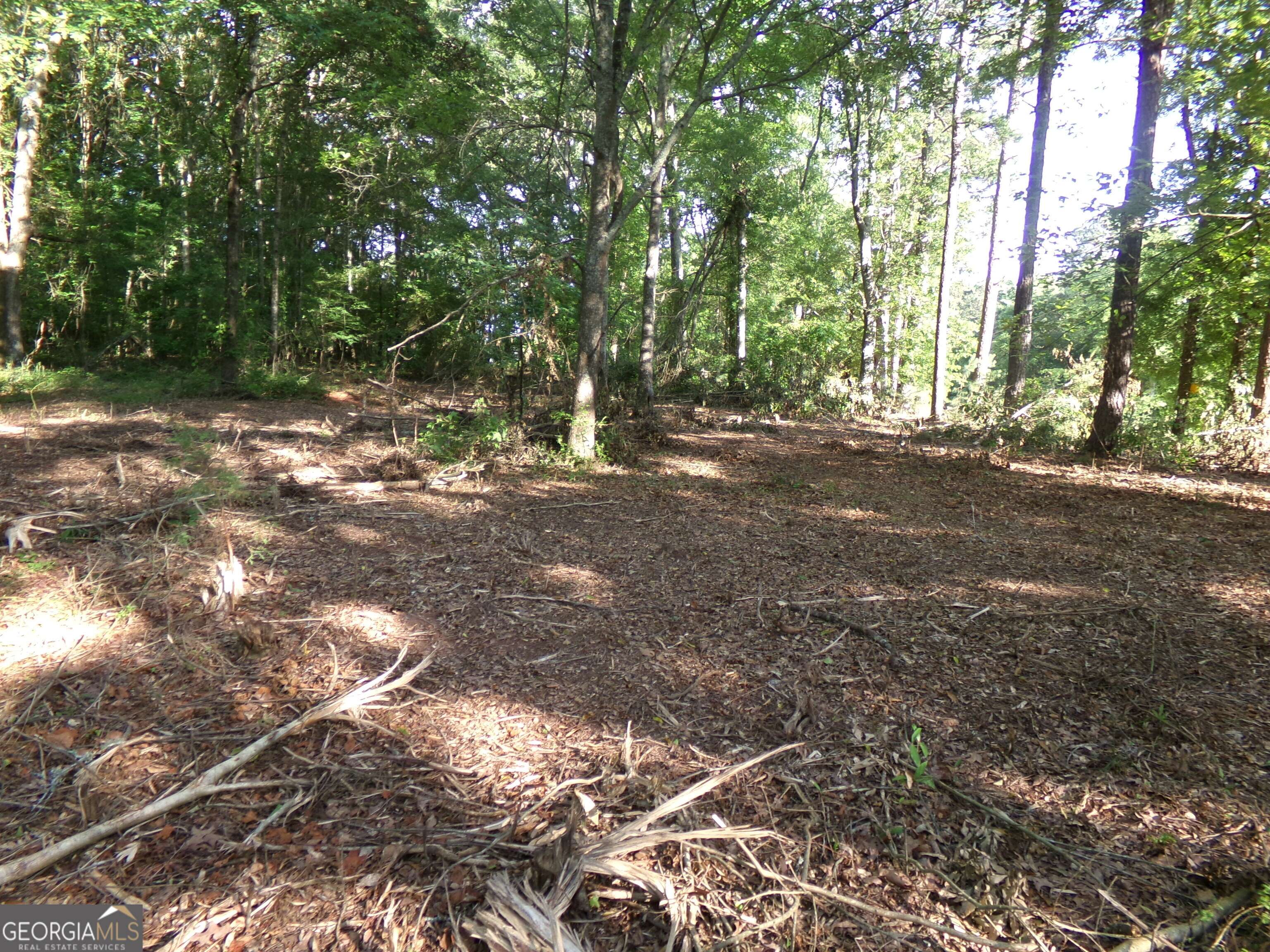 Covington, GA 30014,26 ACRES PJ RD E