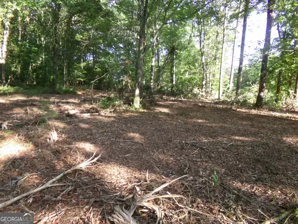 Covington, GA 30014,26 ACRES PJ RD E
