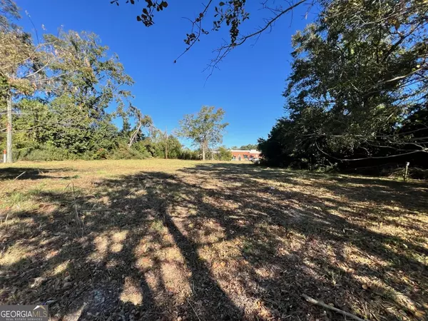 Statesboro, GA 30458,723 1/2 S Main ST