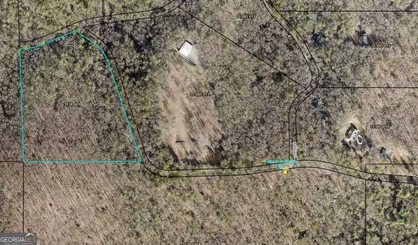 Ellijay, GA 30536,11.12 AC Lowman RD #156