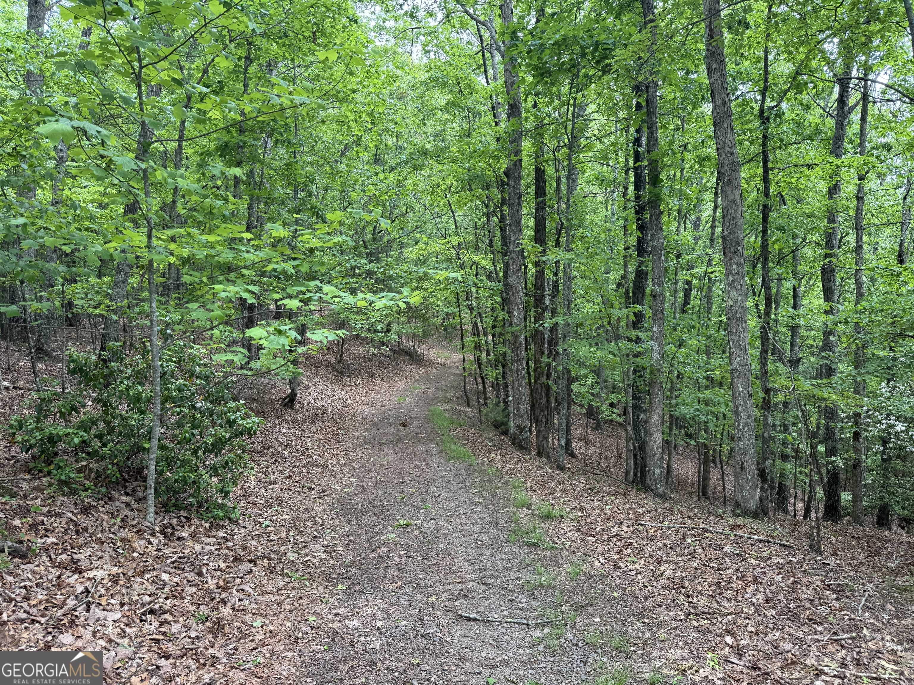 Young Harris, GA 30582,0 Royal Oaks Trail