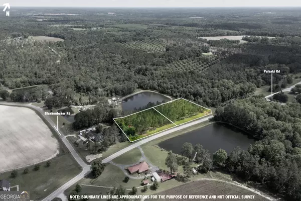 Statesboro, GA 30458,LOT 3 Pulaski RD