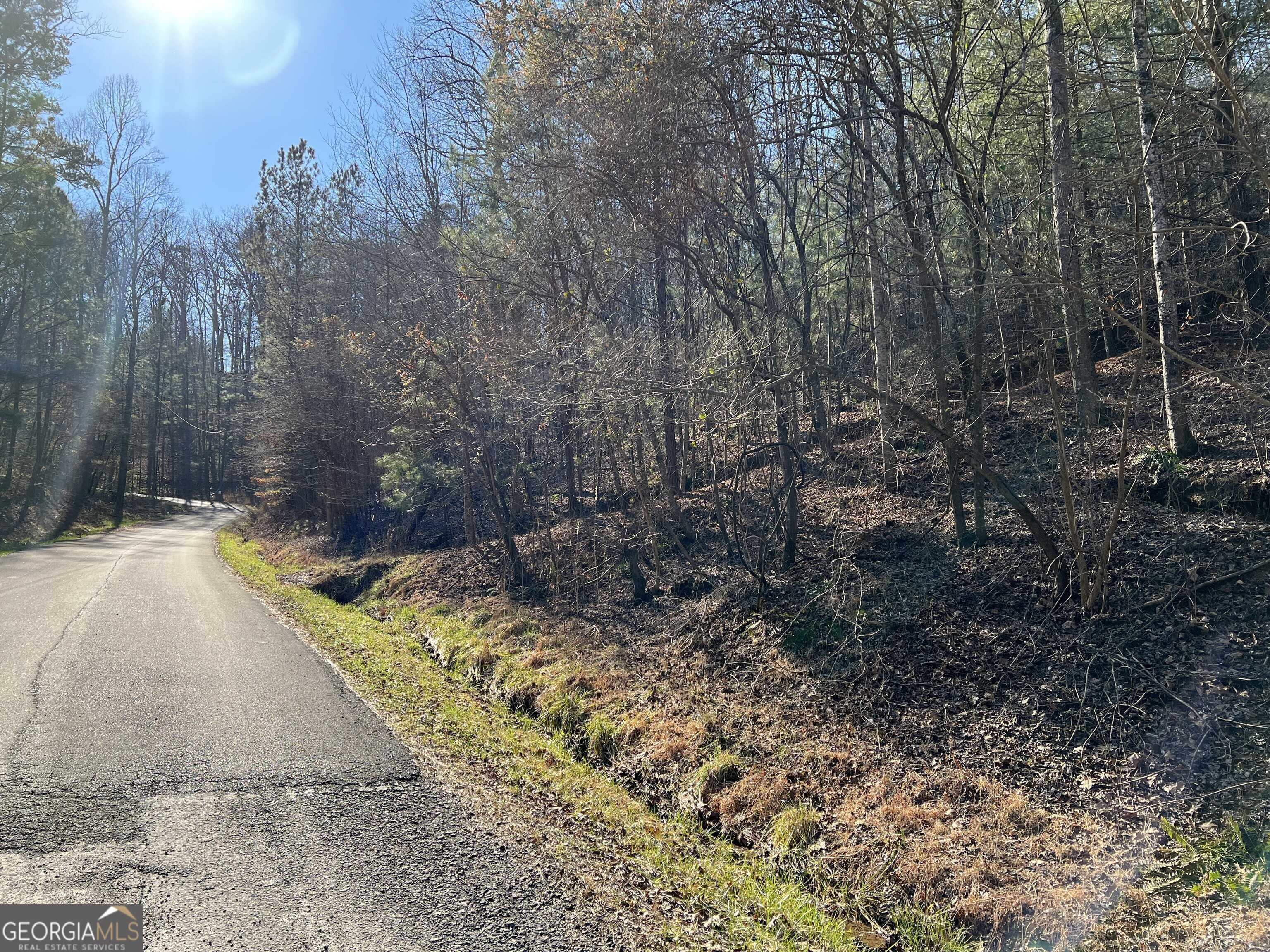 Ranger, GA 30734,LOT 821 Monody LN