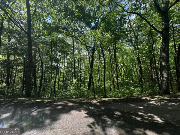 LOT 14 Oceola DR, Ellijay, GA 30540