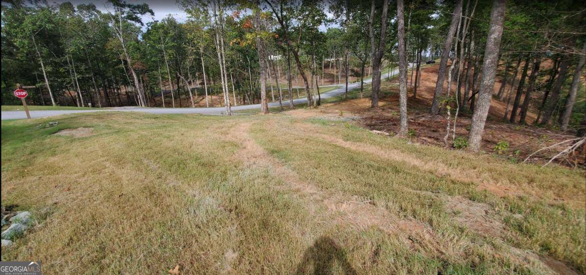 Ellijay, GA 30540,LOT 96 Jakes Landing WAY