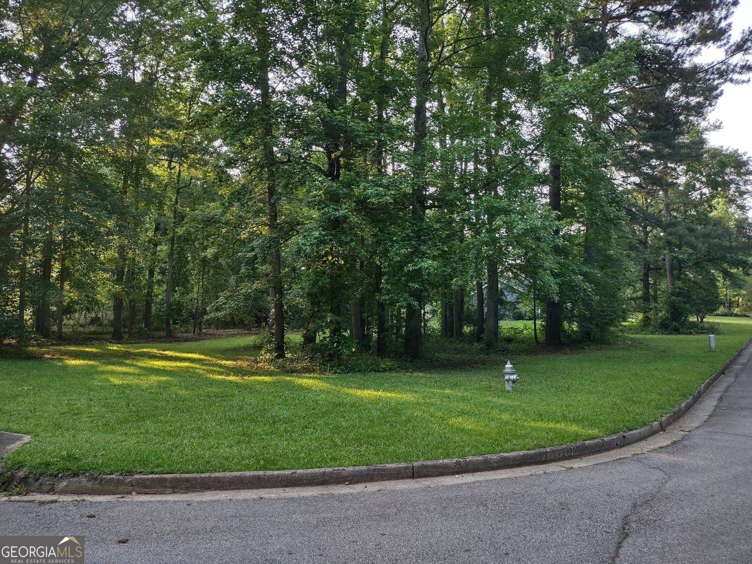 0 Pine Tree DR #LOT 39, Mcdonough, GA 30252