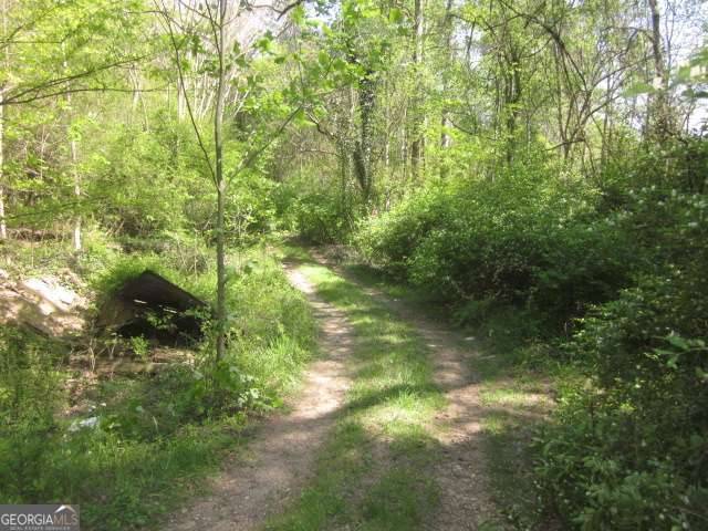 Jasper, GA 30143,0 Hwy 53 W