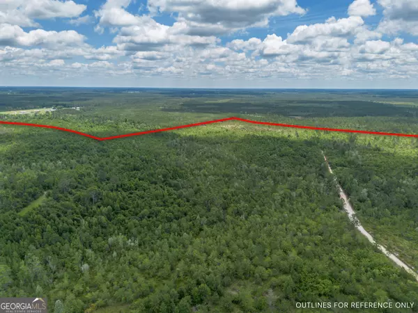 Nicholls, GA 31554,0 Collins RD
