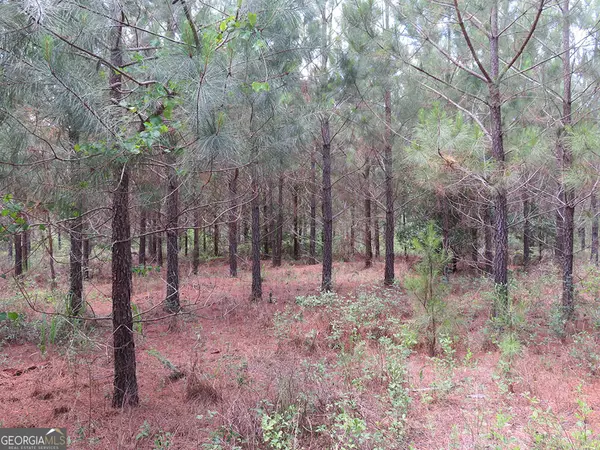 Lumpkin, GA 31815,0 Louise Bell RD