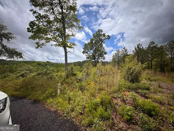 Mineral Bluff, GA 30559,35 Arbor Creek