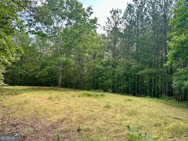 Dahlonega, GA 30533,10.4-/+ Freedom View Dr.