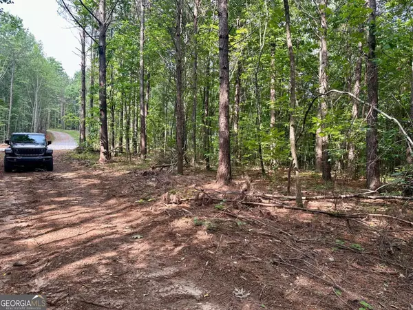 Dahlonega, GA 30533,10.4-/+ Freedom View Dr.