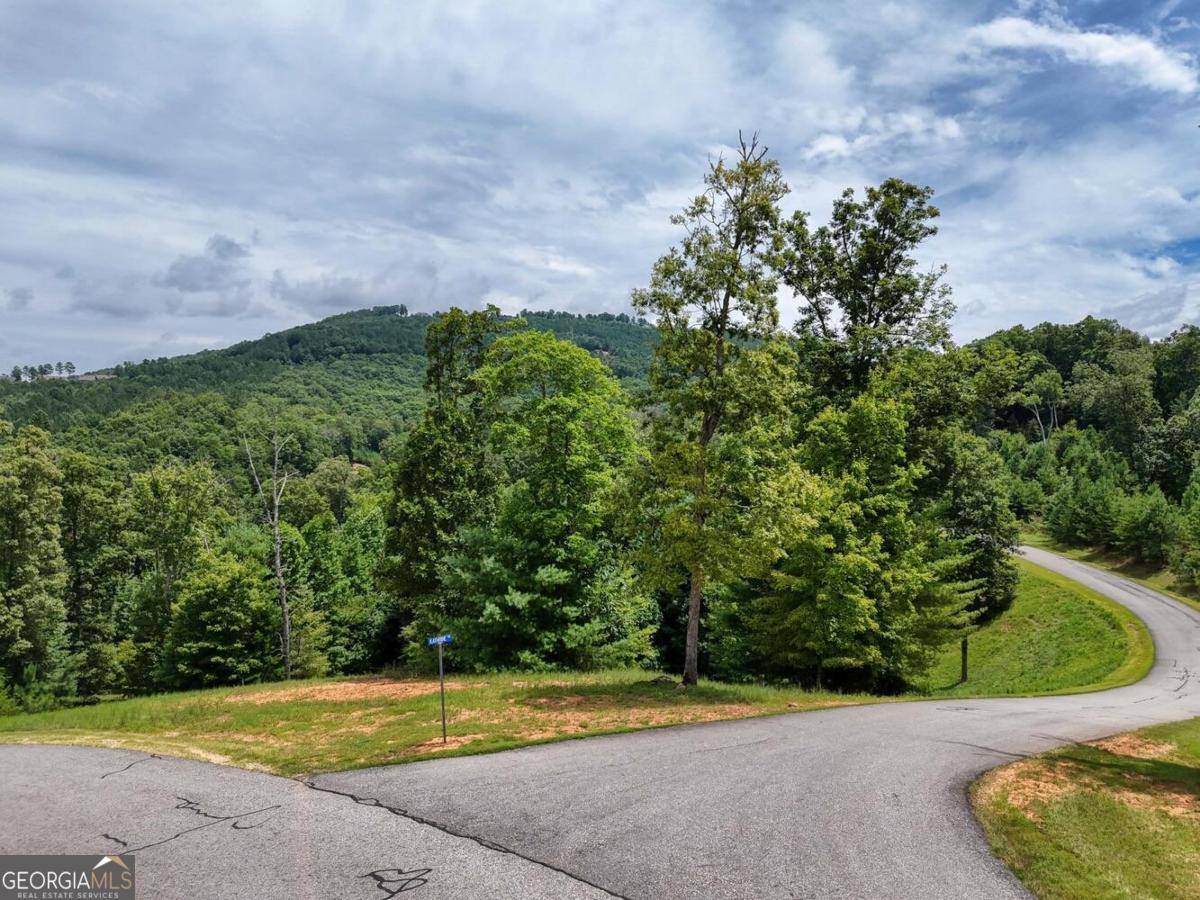 LOT 118 Riverside On Lake Nottely #118, Blairsville, GA 30512
