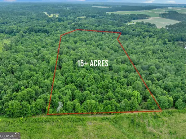 Sylvester, GA 31791,336 Green Valley RD #181