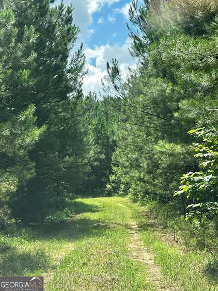 0 Old Chipley RD, Pine Mountain, GA 31822