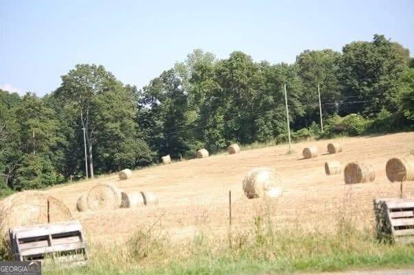Adairsville, GA 30103,141 Holcomb SPUR NW