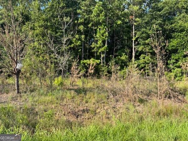 8641 Hopewell RD, Lizella, GA 31052