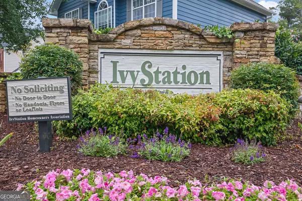 Duluth, GA 30096,3202 Ivy Station WAY