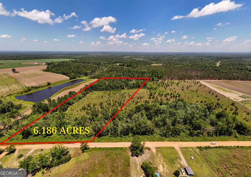 LOT #1 - 6.2 AC Perry Horton RD, Adrian, GA 31002