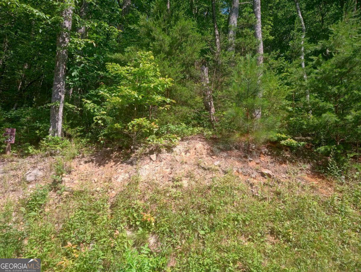 Ellijay, GA 30536,LT 233 Stone Cliff DR #233
