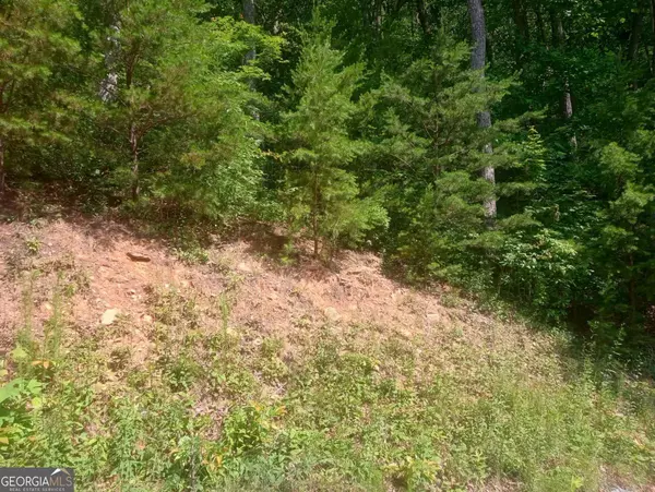Ellijay, GA 30536,LT 233 Stone Cliff DR #233