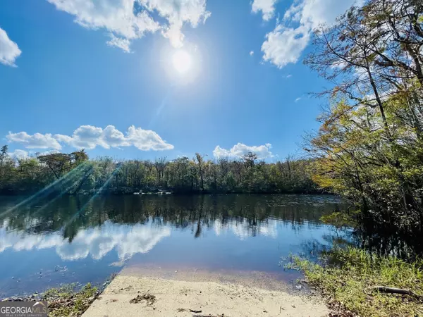 Folkston, GA 31537,LOT 12 Buchanan Landing DR