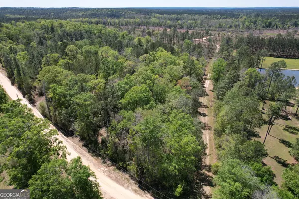 Citronelle, AL 36522,0 Robert Walker Road