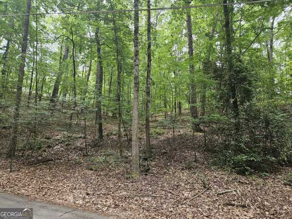 13 Ball Creek WAY, Atlanta, GA 30350