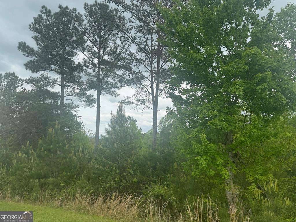 Blairsville, GA 30512,L231 Ridge Point WAY