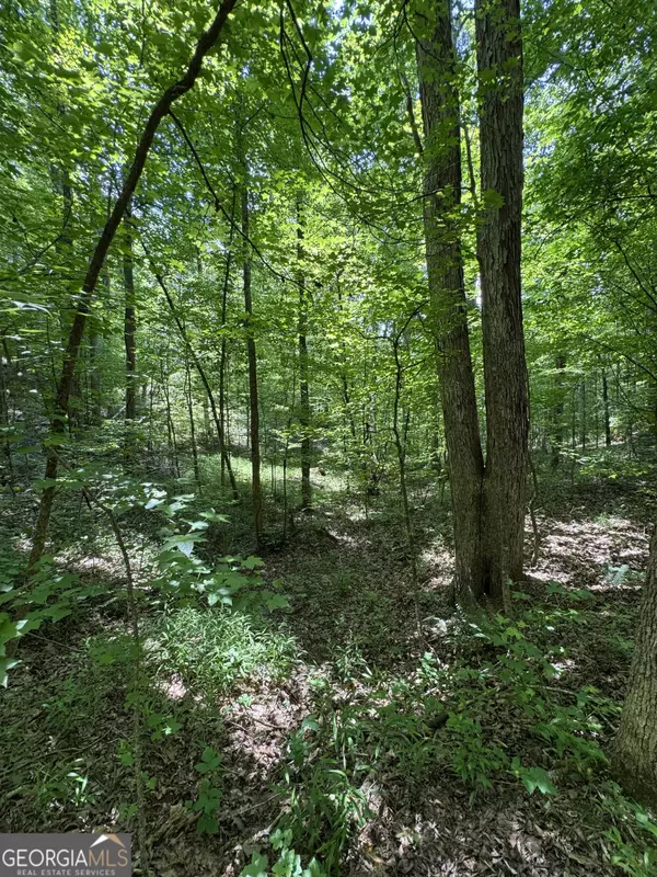 Ranger, GA 30734,0 Long Branch RD