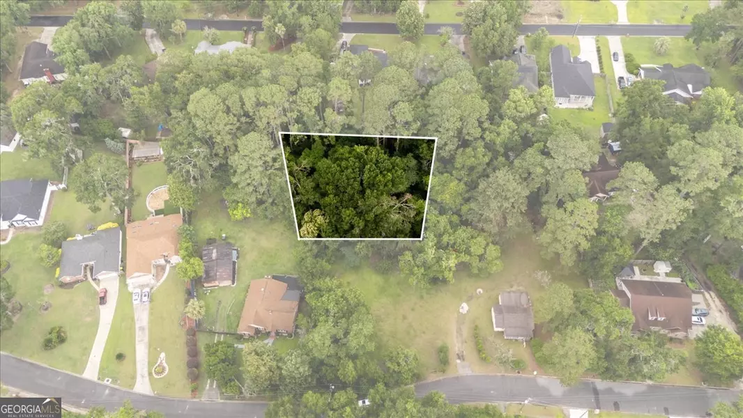 0 Coffee Bluff Villa RD, Savannah, GA 31419