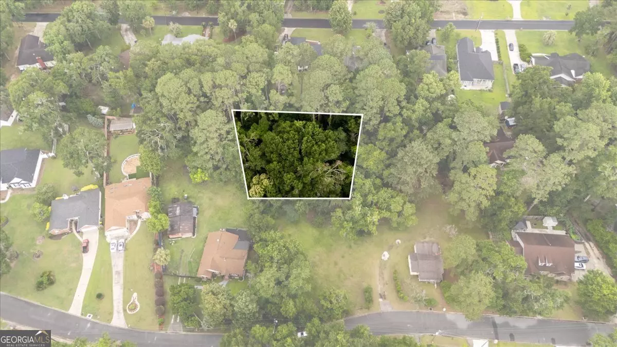 Savannah, GA 31419,0 Coffee Bluff Villa RD