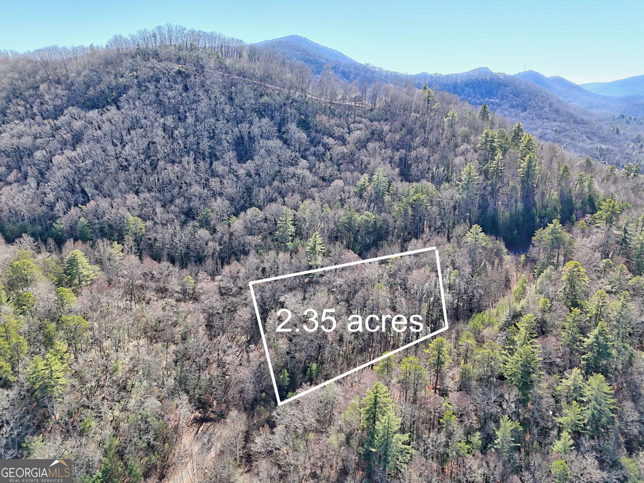 Rabun Gap, GA 30568,0 Shake Holw DR