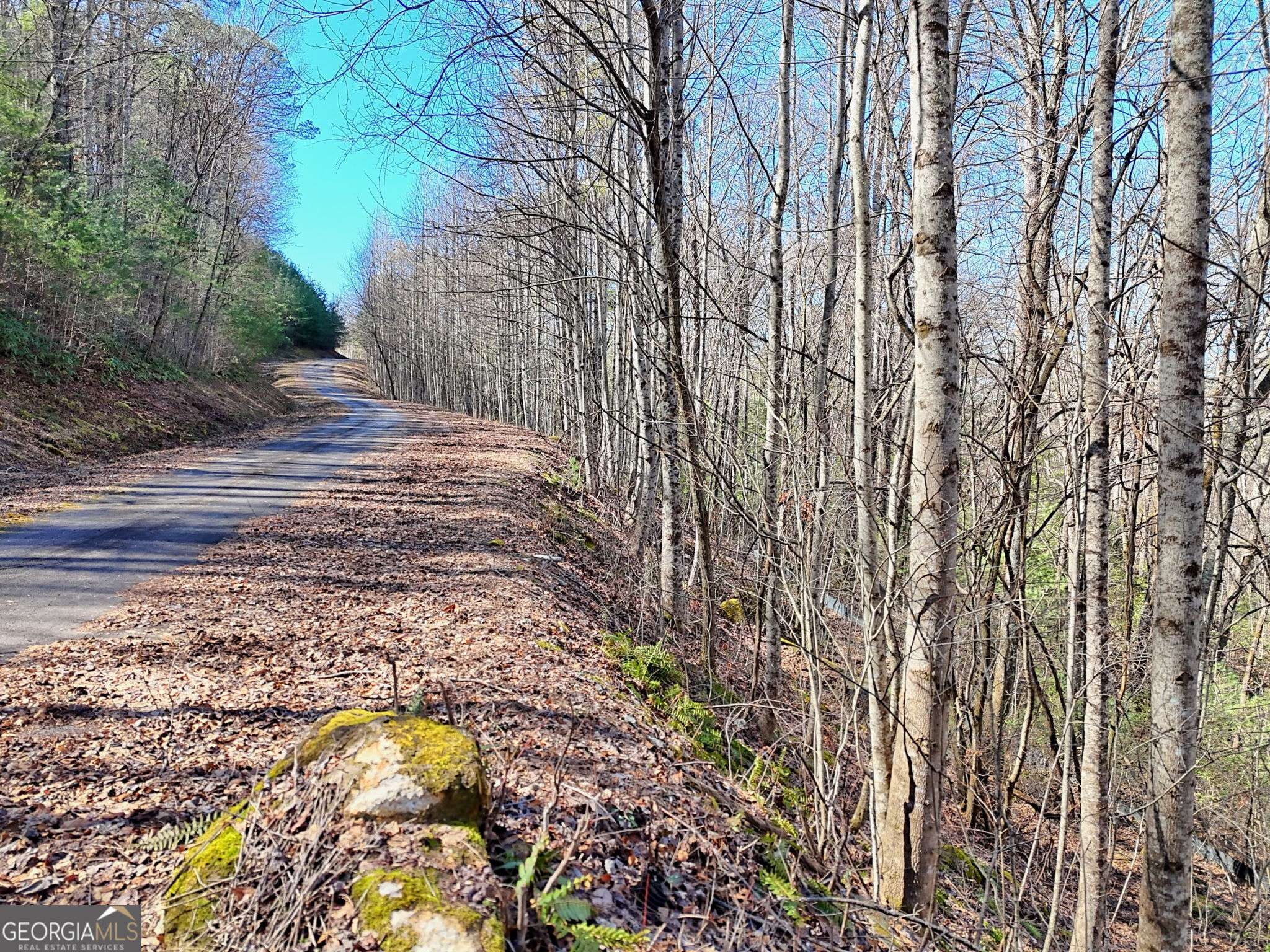 Rabun Gap, GA 30568,0 Shake Holw DR