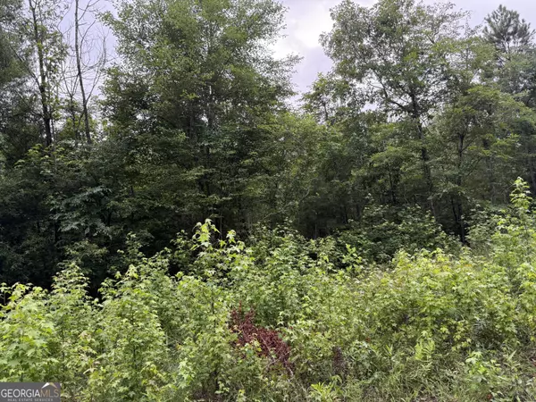 Calhoun, GA 30701,0 Culpepper RD #TRACT 1