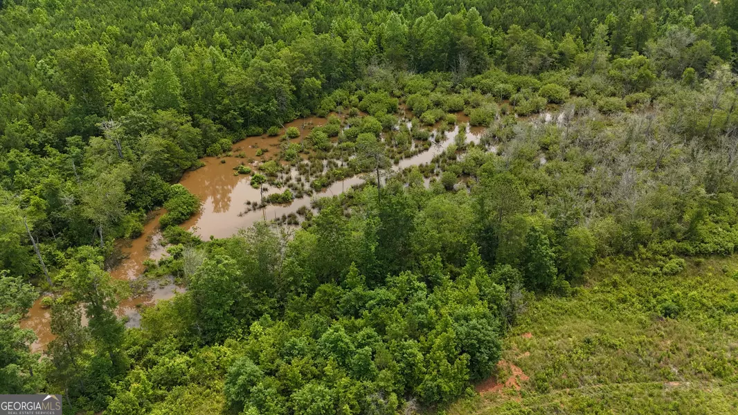 0 Brinkley RD, Barnesville, GA 30204
