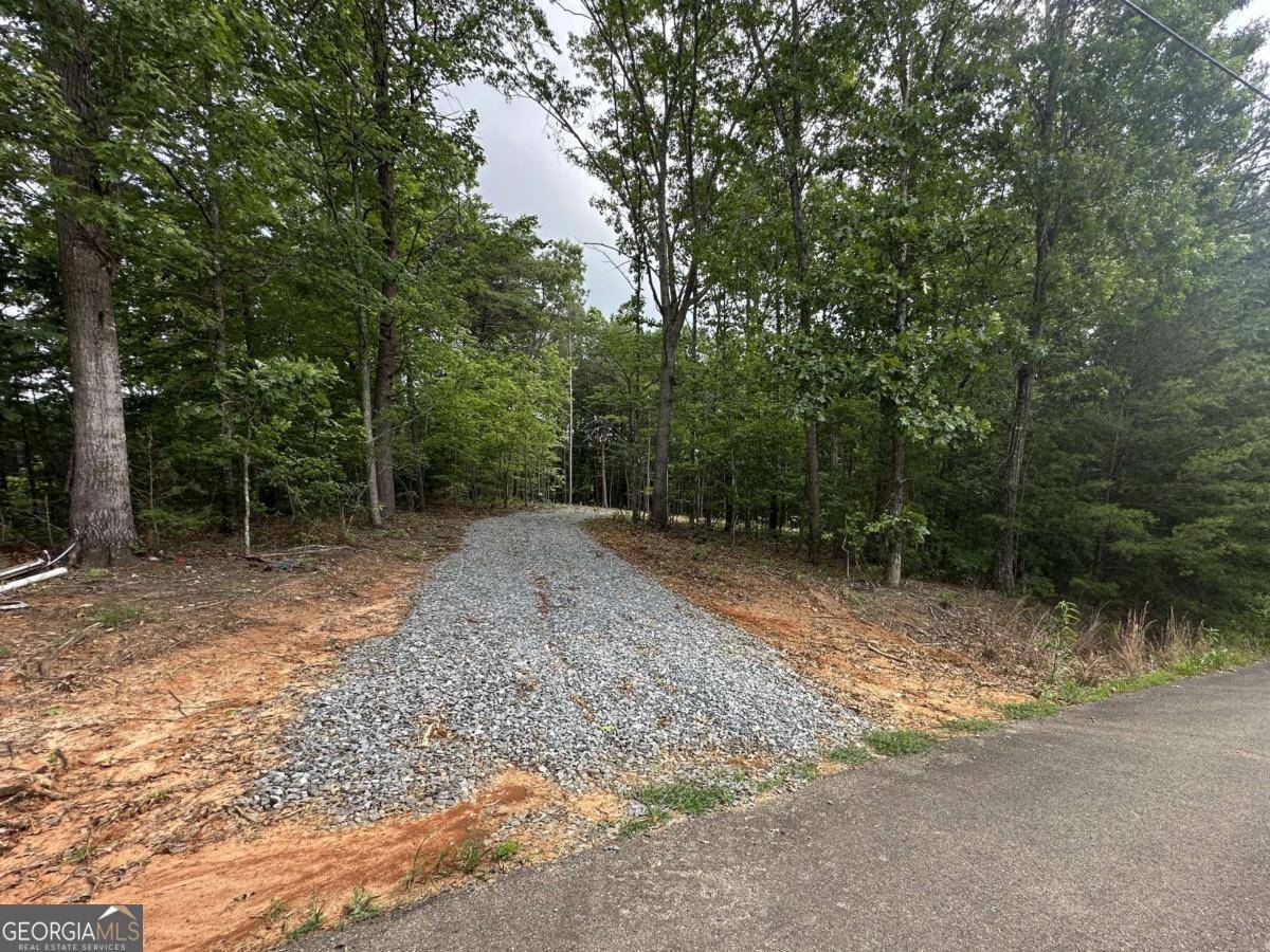 Ellijay, GA 30540,189 Country Hills RD