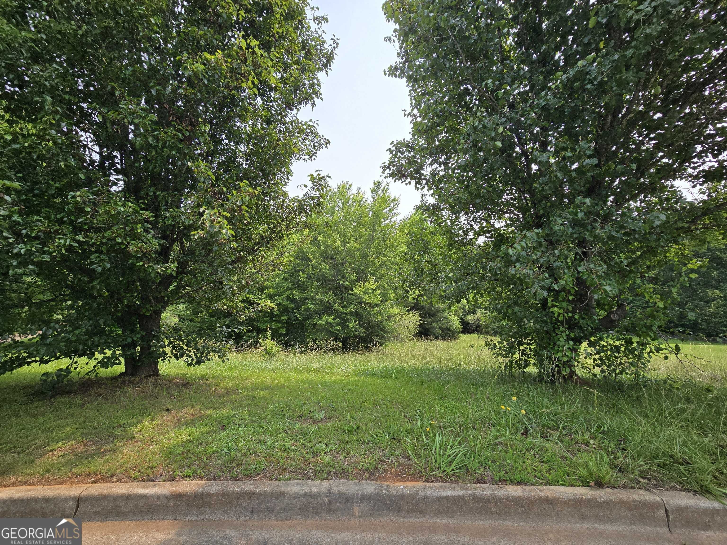 Mcdonough, GA 30252,332 Cattlemans CIR